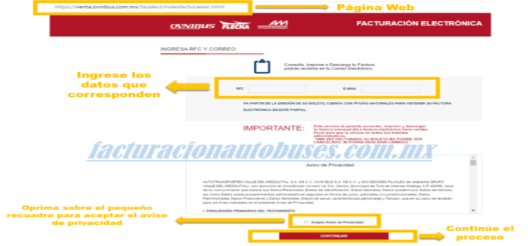 primer paso facturacion ovnibus