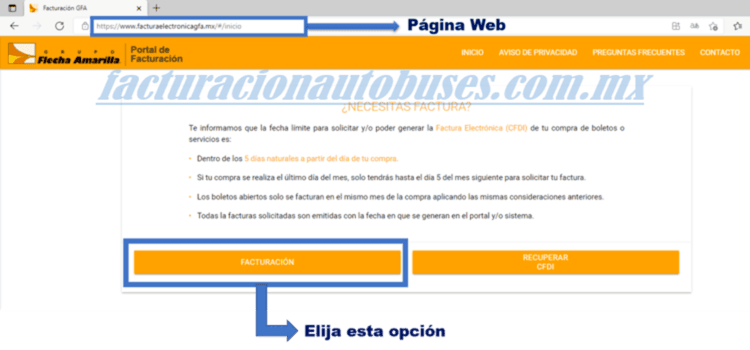 primer paso facturacion primera plus